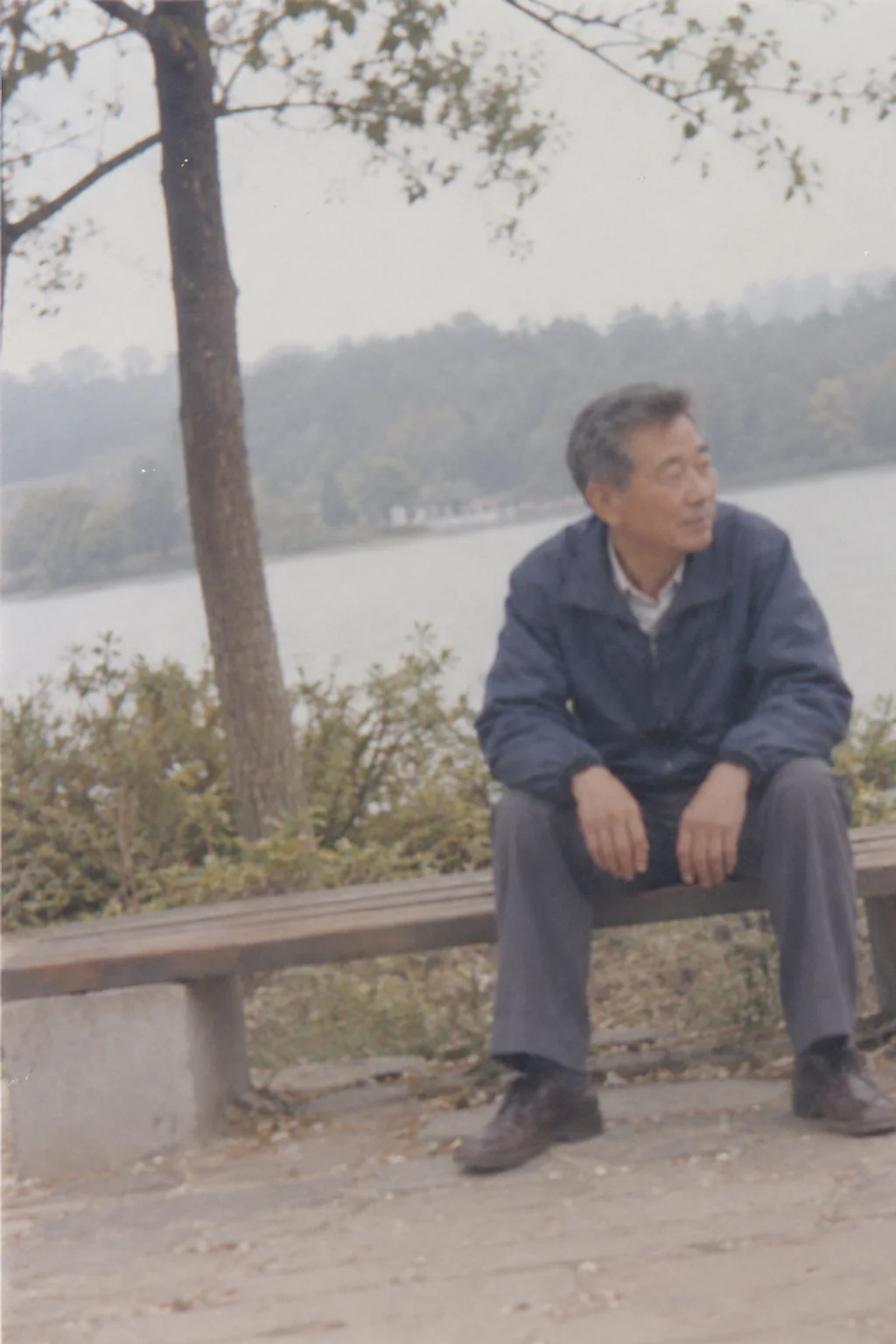 案例 12 原始照片